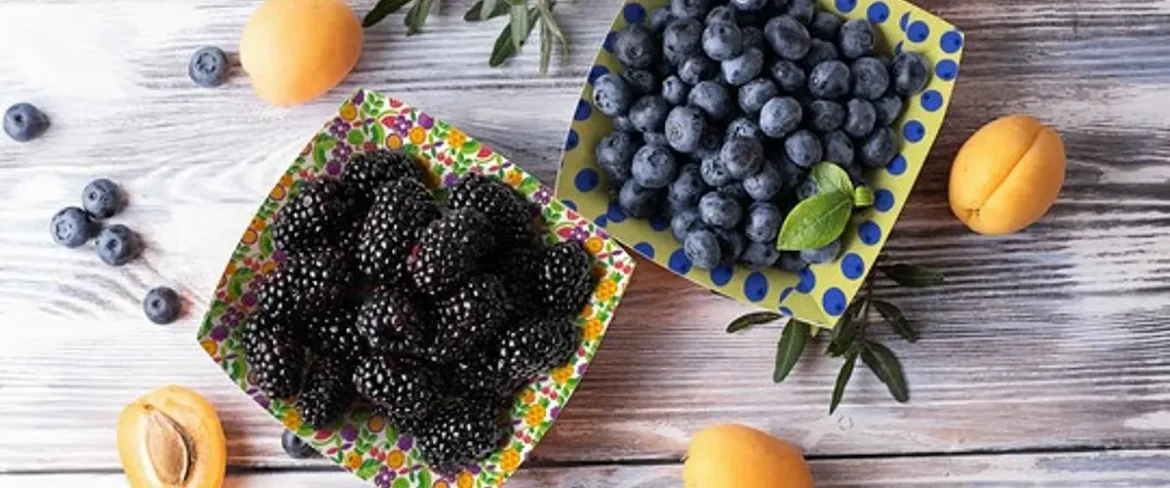 HYDRO-X CONTACT packaging ink